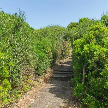 Апартаменты Biniforcat 11