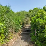 Apartmán Biniforcat 11